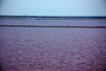 saline di Giraud