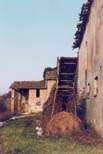 Bargone Variatico