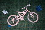 bicicletta artistica