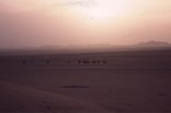 deserto