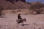 Hadramaut